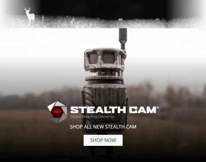 Stealth Cameras